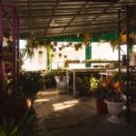 Is Gardener'S Supply Going Out Of Business